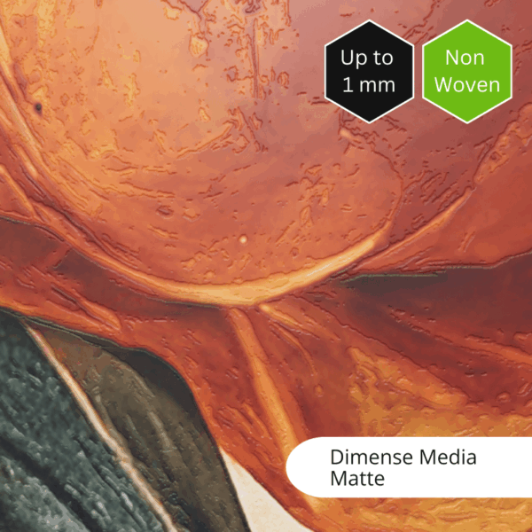 Dimense DS Media 1,6 x 50m Matt – Roland DG Marketplace – EU